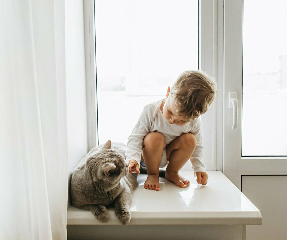 Безопасность для любимых 